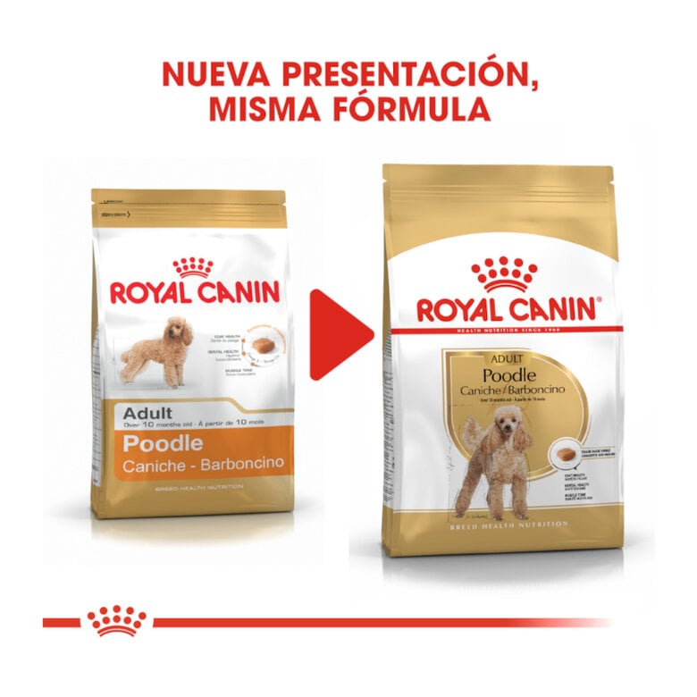 Royal Canin Adult Poodle ração para cães,  Imagem número 3 Royal Canin Adult Poodle ração para cães, , large Imagem número 3